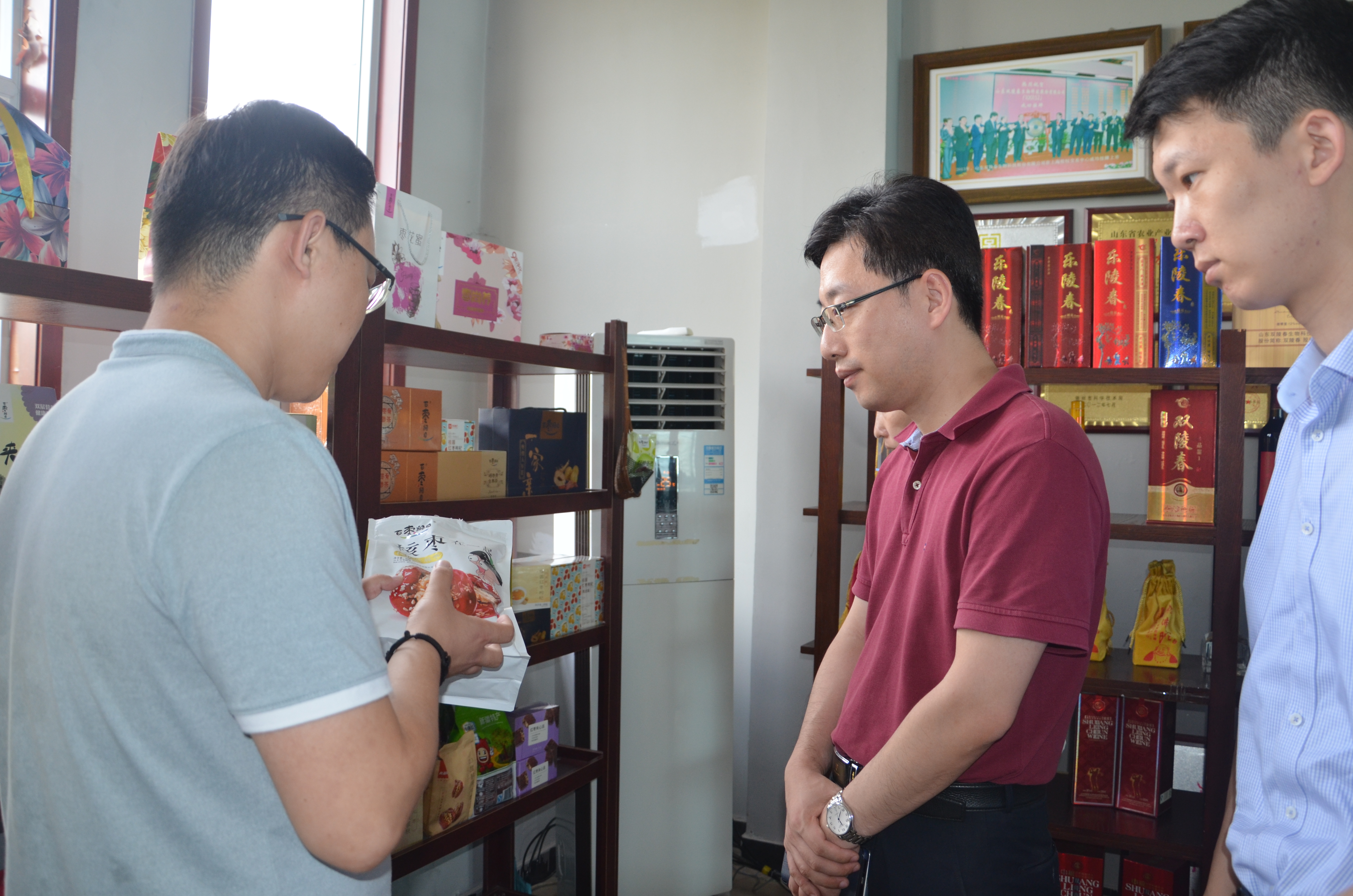 山东省科技厅专家组莅临恒运集团旗下百枣纲目考察项目