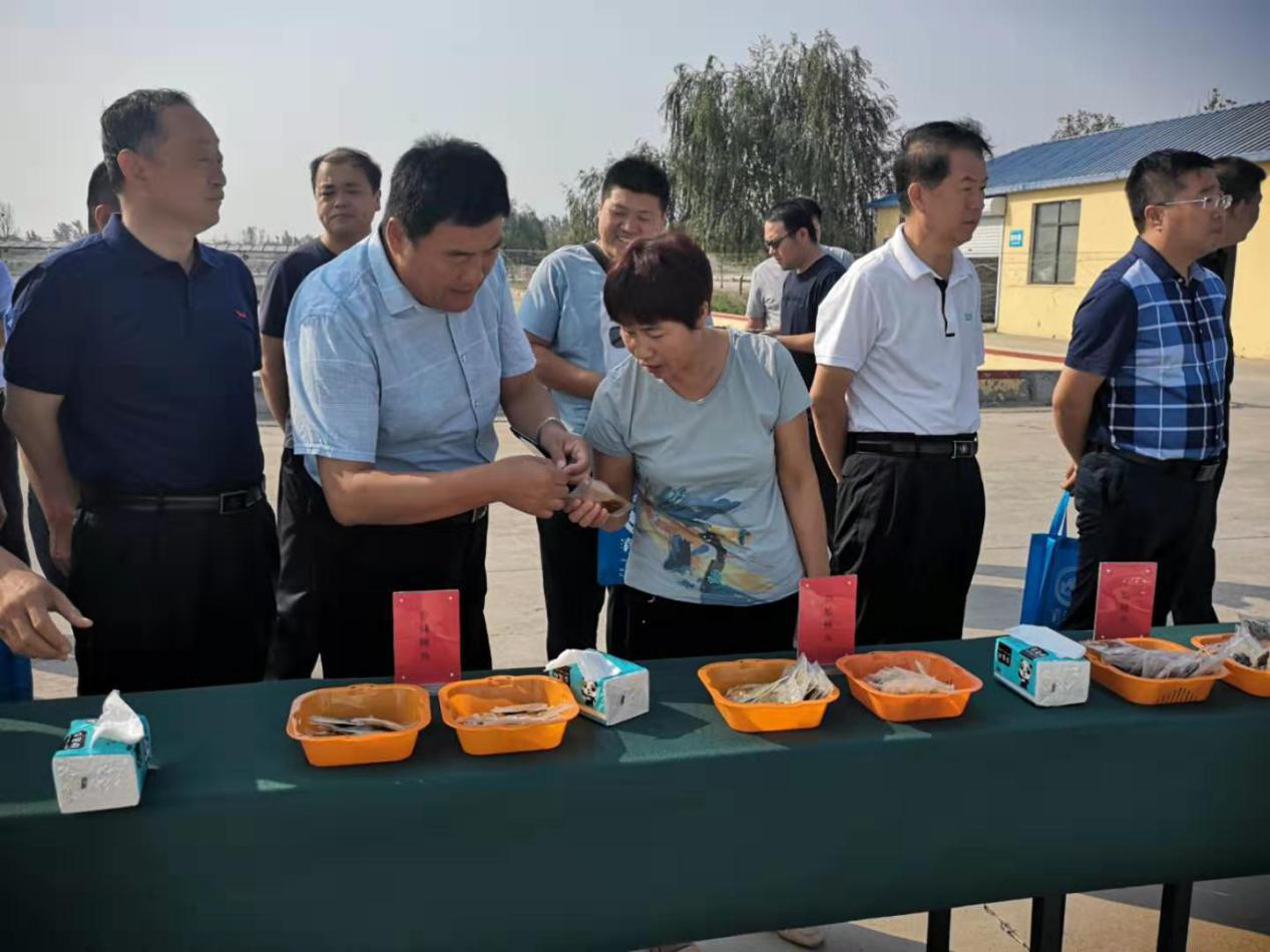 德州市弄农业农村事业发展中心领导一行莅临 恒运能源集团旗下农业产业清洋湖科技有限公司考察指导