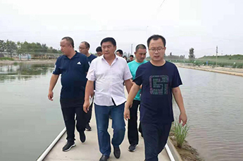 铁营镇各管区书记及部分村支部书记代表一行 走进恒运能源集团旗下农业产业清洋湖科技有限公司参观考察