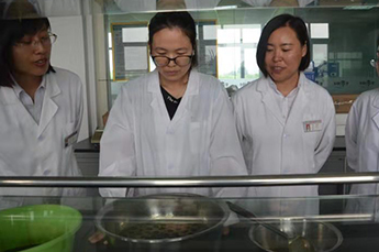 恒运能源集团旗下农业产业百枣纲目（集团）与星光糖业强强联手研发新产品