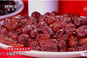 恒运能源集团旗下农业产业百枣纲目(集团)四大系列枣产品亮相央视《魅力中国城》