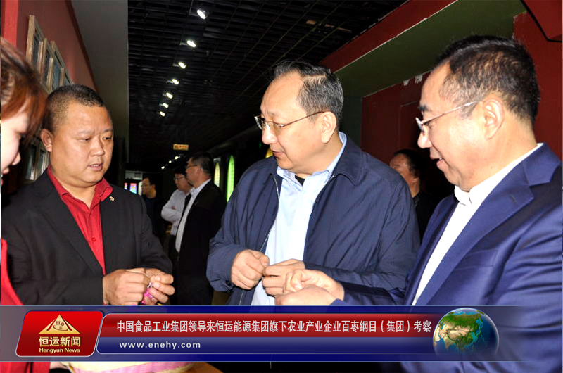 中国食品工业集团党委书记、总经理蔡永峰一行来 恒运能源集团旗下农业产业企业百枣纲目（集团）考察