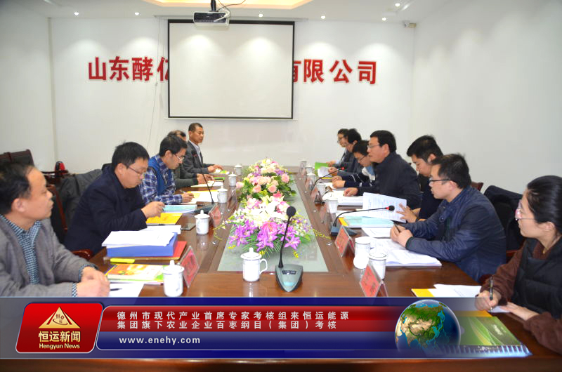 德州市现代产业首席专家考核组来恒运能源集团 旗下农业企业百枣纲目(集团)考核