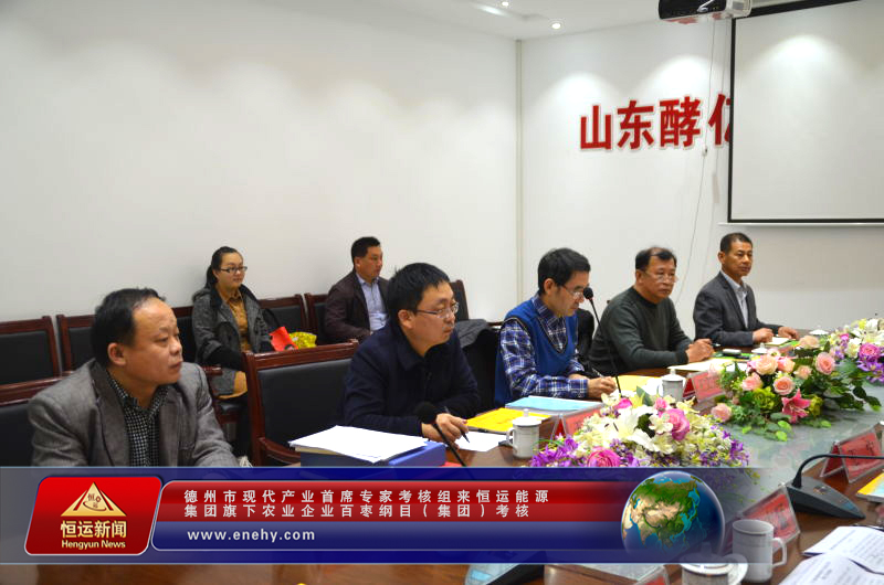 德州市现代产业首席专家考核组来恒运能源集团 旗下农业企业百枣纲目(集团)考核