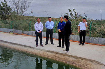 德州农科院院长贺洪军一行莅临清洋湖考察指导工作