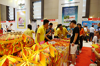 相约乐陵 枣赢未来 枣博会现场百枣纲目(集团)展位客商云集