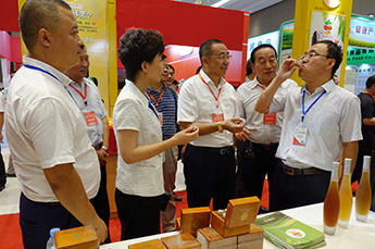 共享枣博盛会 携手再创佳绩 热烈庆祝2017中国(乐陵)金丝小枣文化节 暨第五届百枣纲目(集团)新品发布会圆满成功