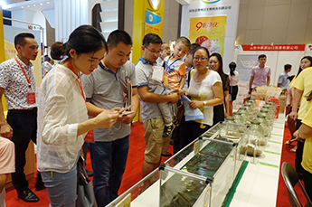 共享枣博盛会 携手再创佳绩 热烈庆祝2017中国(乐陵)金丝小枣文化节 暨第五届百枣纲目(集团)新品发布会圆满成功