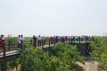 共享枣博盛会 携手再创佳绩 热烈庆祝2017中国(乐陵)金丝小枣文化节 暨第五届百枣纲目(集团)新品发布会圆满成功