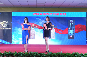 第29届中国（乐陵）金丝小枣文化节 暨第五届百枣纲目（集团）新品发布会第一场活动圆满结束 百枣纲目（集团）大型经销商、采购商主场