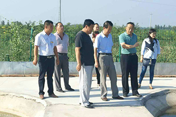 德州电视台《金色乡村》栏目组走进清洋湖