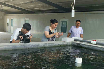 德州电视台《金色乡村》栏目组走进清洋湖