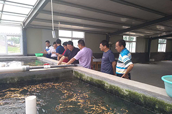 强化传统产业升级 打造生态养殖品牌 乐陵市政府党组副书记...