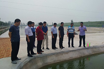 强化传统产业升级 打造生态养殖品牌 乐陵市政府党组副书记...