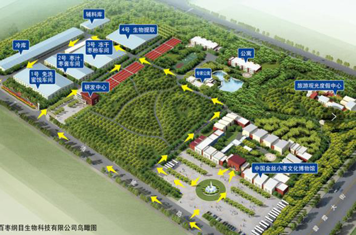 恒运能源集团旗下农业产业山东百枣纲目（集团）生物科技有限公司：诚信经营实现跨越发展