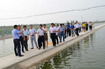 中国农业部渔业渔政管理局副局长 韩旭一行莅临清洋湖考察调...