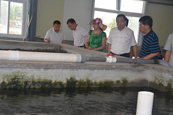 把握新常态 实现共发展 山东省烟台栖霞市领导一行莅临恒运能源集团旗下农业产业百枣纲目（集团）参观考察