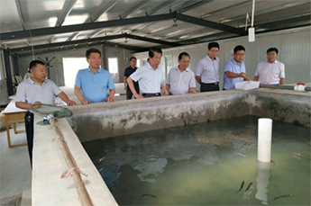 清洋湖：联手打造生态养殖 促水产养殖业多元化发展