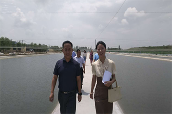 清洋湖：联手打造生态养殖 促水产养殖业多元化发展