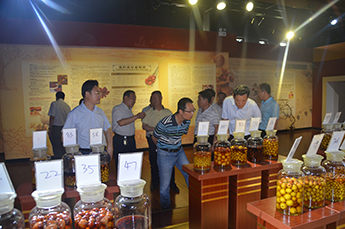 新疆建设兵团十二师总经济师杨成义一行到百枣（集团）参观调研