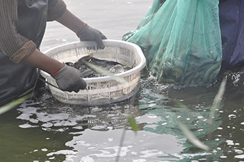 山东省海洋与渔业厅科技推广站站长黄树庆一行莅临清洋湖参观调研