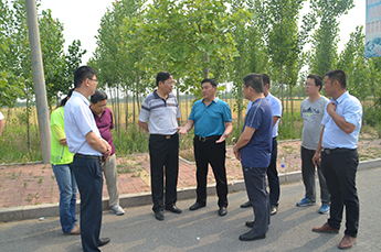 乐陵市委副书记、市长王大山一行到清洋湖水产养殖基地视察工作