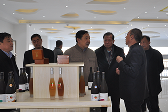 中国国际经济技术交流中心南南合作处处长赵永利一行 莅临恒运能源集团农业产业百枣纲目(集团)考察调研