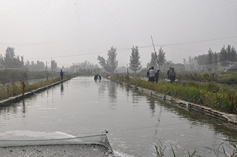 清洋湖：打造公园式养殖示范园区