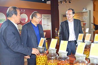 加强双方合作，共赢美好未来 登尼特集团领导一行莅临恒运能源集团旗下农业产业百枣纲目农科集团考察洽谈