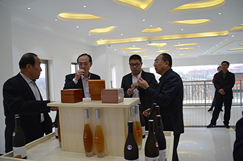 加强双方合作，共赢美好未来 登尼特集团领导一行莅临恒运能源集团旗下农业产业百枣纲目农科集团考察洽谈