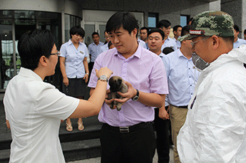 大爱无疆 博爱众生——恒运能源集团收养“8•12”灾区小狗