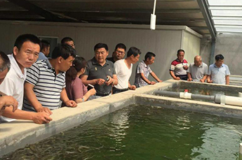 武城水产局领导一行到清洋湖考察台湾泥鳅养殖项目
