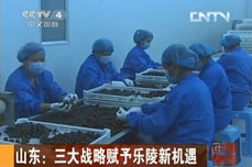 恒运能源集团董事局主席李长云接受中国中央电视台中文国际频道CCTV4专访