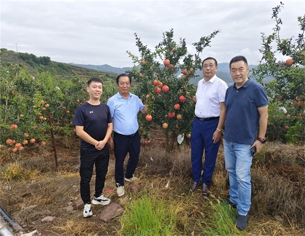 1758081037232858.jpg 1758081037232858.jpg